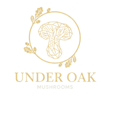 Under Oak Mushrooms